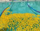 duck derby 2021  2 