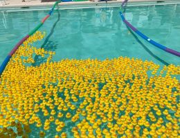 duck derby 2021  2 