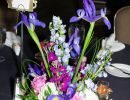 moj gala 2018 low res 18